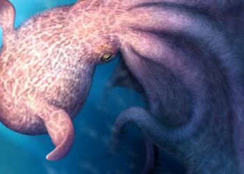 Scientists Find Giant Octopus That Preyed on Dinosaurs 100 Million Years Ago