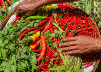 Love Spicy Food? It Could Help You Live Longer