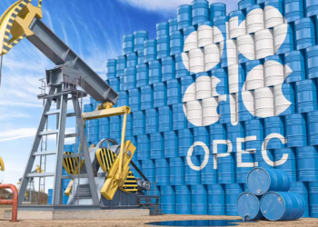 UAE Exits OPEC: What is OPEC, and How Does It Operate? All You Need To Know