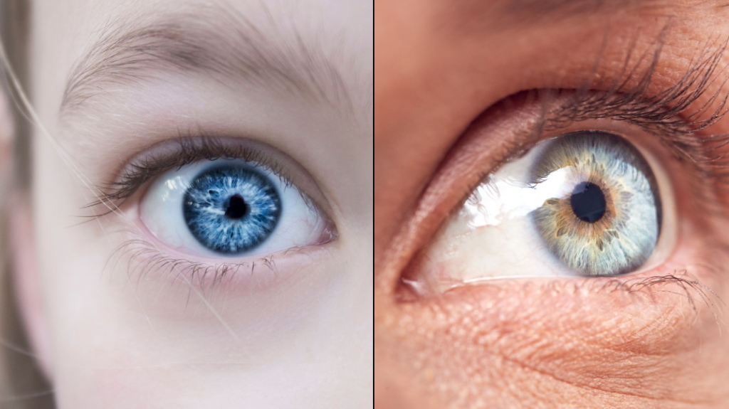 Do All Blue-Eyed People Share a Single Ancestor? The Science Behind The Viral Claim