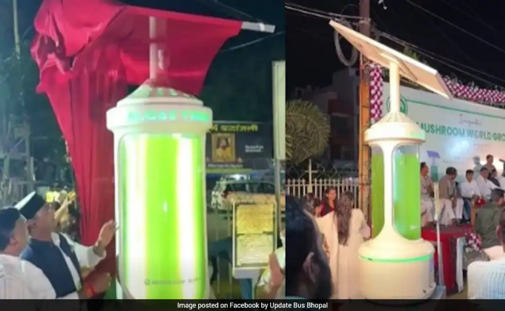 Bhopal Unveils India’s First ‘Algae Tree’ Designed to Capture Carbon and Release Oxygen