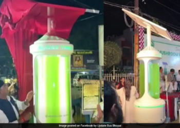 Bhopal Unveils India’s First ‘Algae Tree’ Designed to Capture Carbon and Release Oxygen
