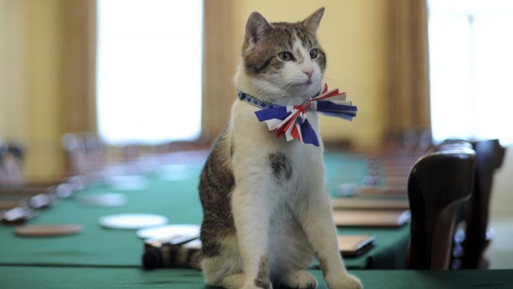 Larry the Cat Steals Spotlight as UK Political Crisis Deepens: ‘Whether Starmer Stays or Goes…’