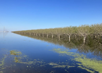 Tulare Lake Reappearance: How a Lost California Giant Came Back to Life