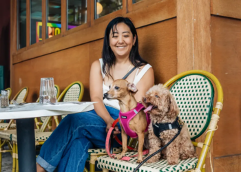 Dog Nannies Are the New Status Symbol for America’s Wealthy Pet Owners