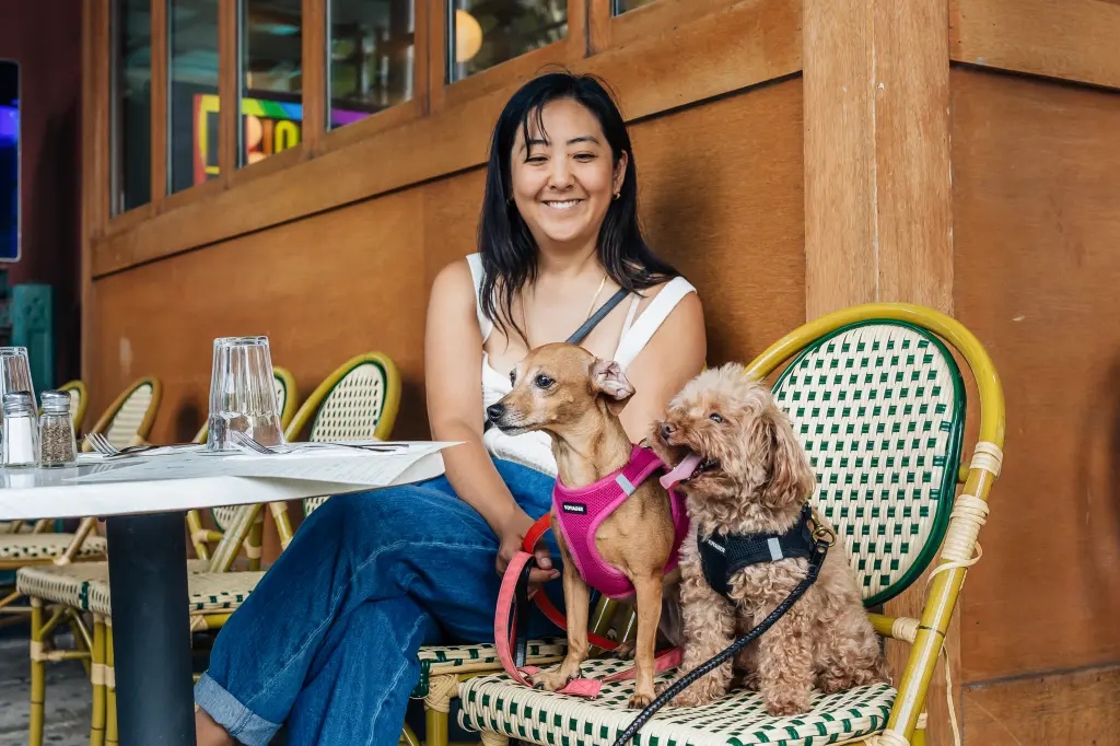 Dog Nannies Are the New Status Symbol for America’s Wealthy Pet Owners