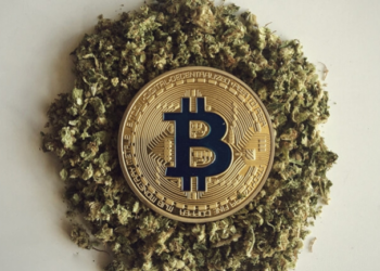 Smoke Marijuana, Earn Bitcoin: Why California’s Crypto-Powered Vape Pen is Drawing Backlash