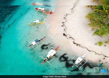 Sensay Island: Inside the AI-Run Island Where Robot Leaders Could Govern Humans
