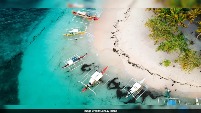 Sensay Island: Inside the AI-Run Island Where Robot Leaders Could Govern Humans