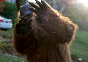 Bigfoot Sightings in Ohio Surge After Harsh Winter: Folklore or Something More?
