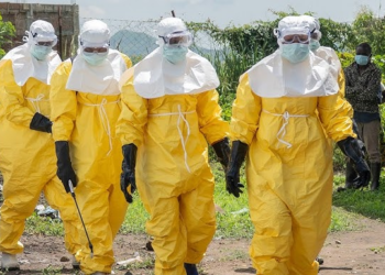 DR Congo Cancels World Cup 2026 Send-Off Event After Ebola Outbreak