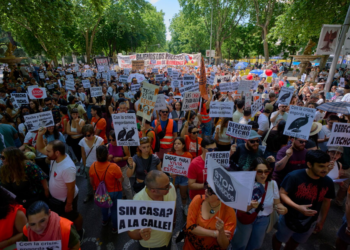 Double Protests in Spain: Why Thousands Took to the Streets in Madrid