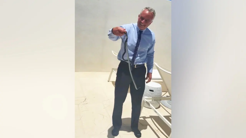 RFK Jr Sparks Backlash After Grabbing Live Snakes With Bare Hands in Viral Video