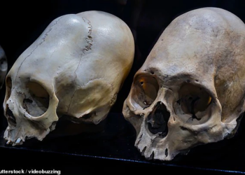 Peru Conehead Mummies Mystery Deepens as Latest DNA Test Fails to Identify Origins