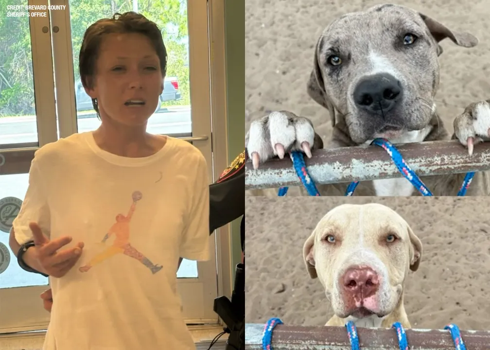 A Florida woman charged after her dogs allegedly mauled a dog walker to death is accused of faking a heart attack while being arrested, authorities say.