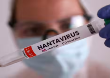 How Argentina Contained The World’s First Major Human-to-Human Hantavirus Outbreak In 2018