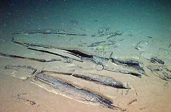 Scientists Discover World’s Largest Whale Graveyard 7 Kilometers Beneath the Indian Ocean