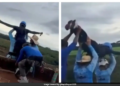 Brazil Bungee Jumping Accident: 21-Year-Old May Have Been Alive After Fatal 130-Foot Fall