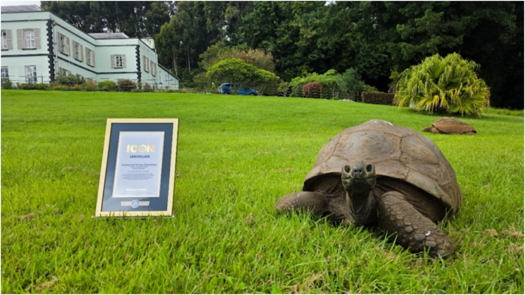 Jonathan The Tortoise Is 194 Years Old And Now Officially a Guinness World Records Icon