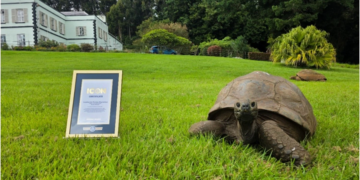Jonathan The Tortoise Is 194 Years Old And Now Officially a Guinness World Records Icon