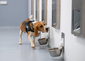 Can Dogs Really Detect Cancer? How AI and Trained Dogs Could Transform Cancer Screening in India