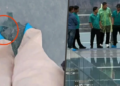 Glass Bridge