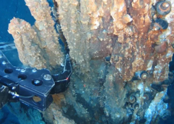 Japanese Scientists Discover Record Levels of ‘Invisible Gold’ Beneath the Seafloor