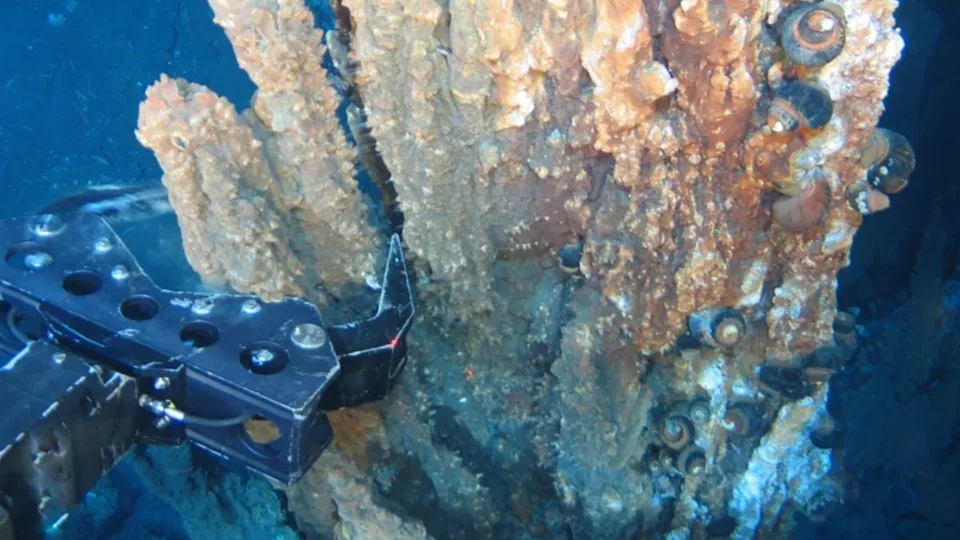 Researchers in Japan have discovered record concentrations of hidden "invisible gold" inside hydrothermal vent minerals beneath the Pacific Ocean.