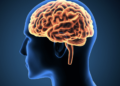 AI Tools Like ChatGPT Increase Dementia Risk; Experts Warn