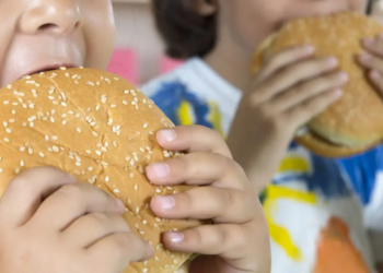 UK Fast Food Ban Near Schools? MPs Push Sweeping Anti-Obesity Reforms
