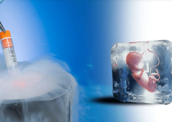 Does Freezing an Embryo Give You a Legal Right to Become a Parent Later?