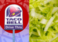 Taco Bell Lettuce Linked to Cyclospora Outbreak That Sickened More Than 1,600 People Across Five States