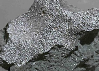 Scientists Discover Unusual ‘Alien Chemistry’ Inside Meteorite That Crashed Through a New Jersey Home