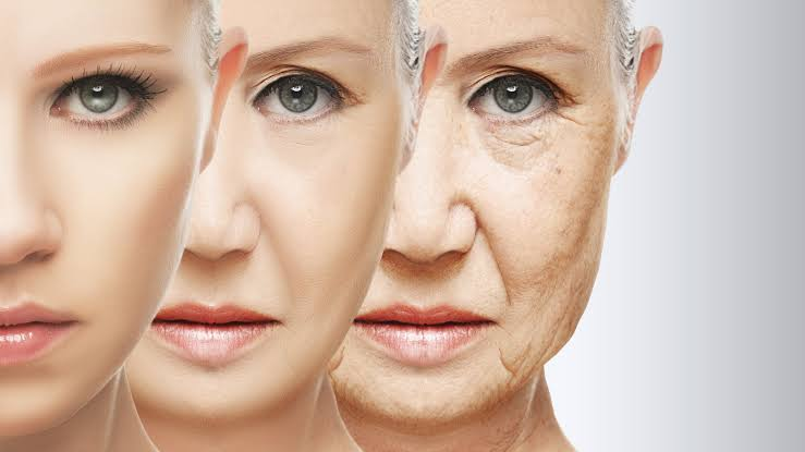 lifespan