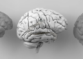 China’s NEO Brain Chip Becomes First Commercially Approved Invasive BCI