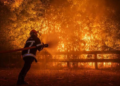 Bordeaux Wildfire Explained: How the Blaze Is Creating Its Own Thunderstorms