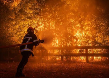 Bordeaux Wildfire Explained: How the Blaze Is Creating Its Own Thunderstorms