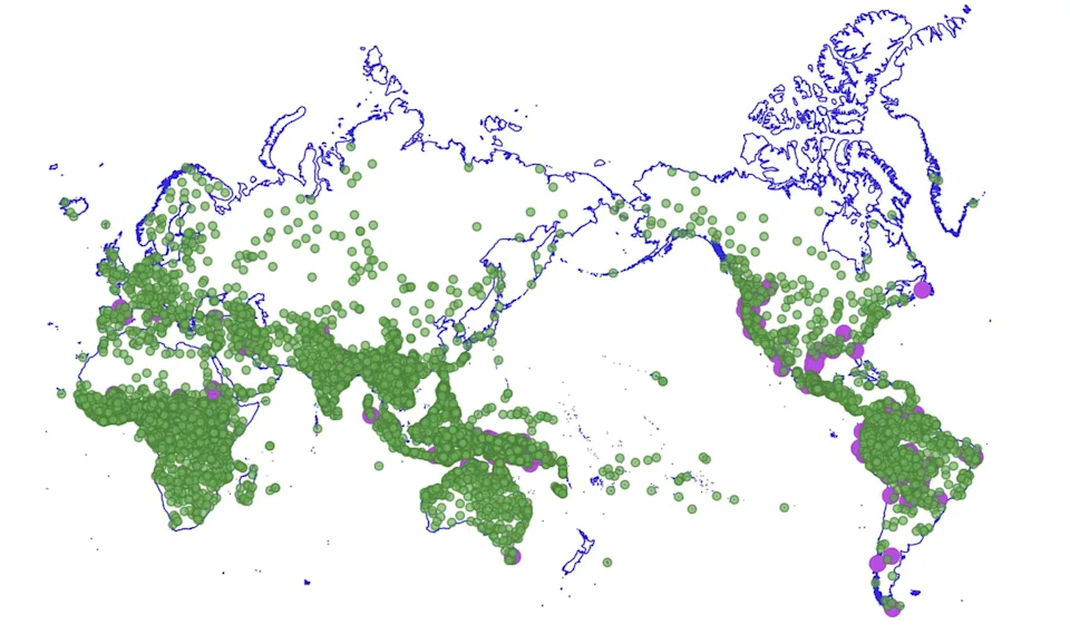 A new study suggests humanity may once have spoken up to 75,000 languages before empires and globalization dramatically reduced linguistic diversity.