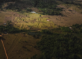 Lost Amazon Civilization Discovered Beneath Rainforest, Scientists Reveal Hundreds of Ancient Earthworks