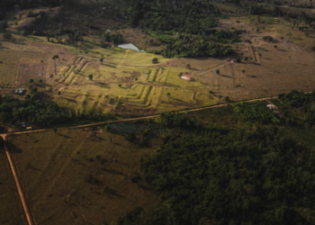 Lost Amazon Civilization Discovered Beneath Rainforest, Scientists Reveal Hundreds of Ancient Earthworks
