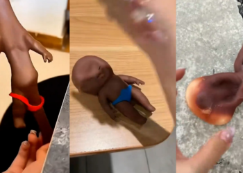 China’s ‘Natasha Doll’ Viral Trend Sparks Global Outrage Over Racism and Online Violence