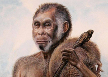 Are ‘Hobbits’ Still Living on Indonesia’s Flores Island? Anthropologist’s Claim Sparks Scientific Debate