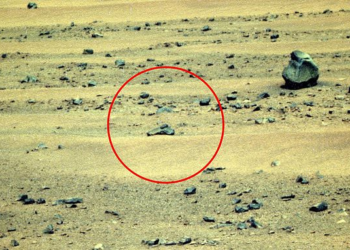 'Alien Gun' on Mars? Viral NASA Rover Image Sparks Fresh Speculation, but Scientists Say It's Probably Just a Rock