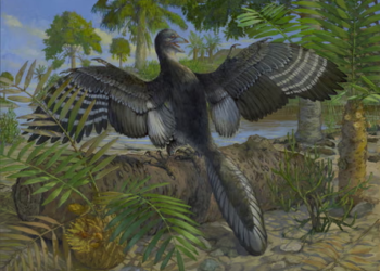 Scientists May Have Finally Solved the Mystery of How the First Bird Took Flight