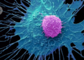 Ancient Immune Protein Could Help Unlock Tougher Cancer Treatments, Study Finds