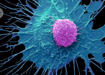 Ancient Immune Protein Could Help Unlock Tougher Cancer Treatments, Study Finds