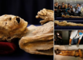 Mummy Remains Sold Online Could Spread Dangerous Fungi, Scientists Warn