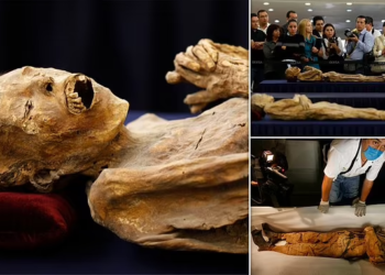 Mummy Remains Sold Online Could Spread Dangerous Fungi, Scientists Warn