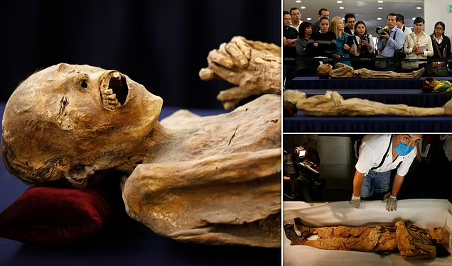 Mummy Remains Sold Online Could Spread Dangerous Fungi, Scientists Warn