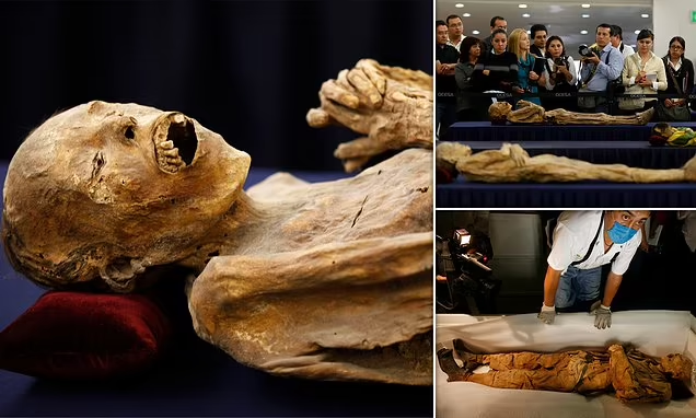The ancient dead may not be entirely silent. Researchers are warning that mummified human and animal remains being sold online could carry fungi and other microbes capable of posing health risks to people who handle, package or transport them.